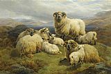 Unknown Artist Sheep in the Highlands painting